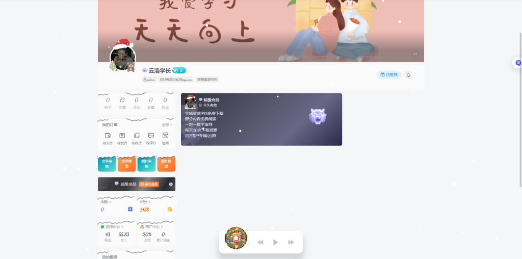 图片[2]-YH0071 子比·冬日奇境圣诞美化插件-云浩资源网